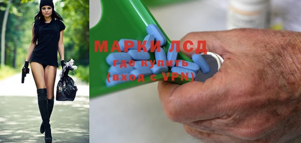 индика Бородино