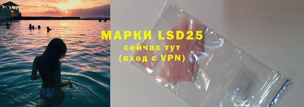 индика Майский