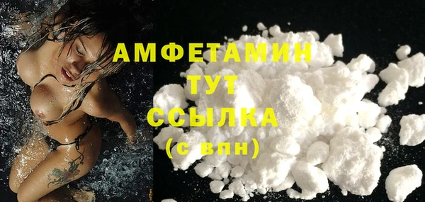 индика Майский