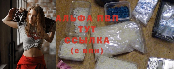 индика Майский