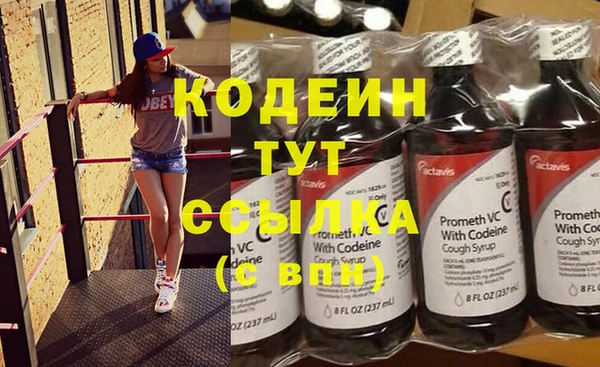 индика Майский