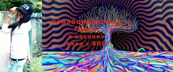 гидропоника Магас